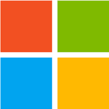 Windows 11 Pro : Lifetime License (64-bit) 